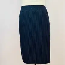 Tahari Arthur Levine Striped Skirt Size 6p