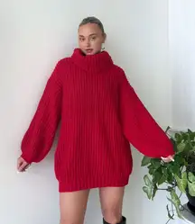 Turtlneck sweater dress 