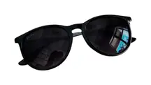 Ray Ban 4171 Black Sunglasses