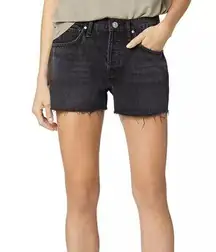 #19 NWT Hudson Lori Cutoff Denim Shorts in Tainted Love