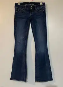 American Eagle Outfitters Artist Bootcut Flare Jeans Size 00