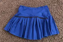 Gold Hinge Gold Skirt