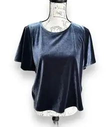 Madewell Blue Velvet Velour Butterfly Cropped Top Pullover Shirt Small K4376