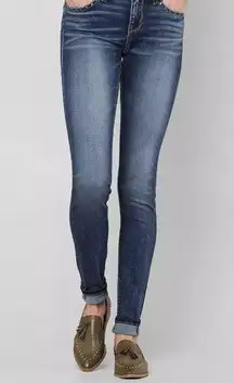 Daytrip lynx skinny jeans