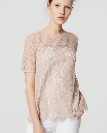 See Through Lace Top