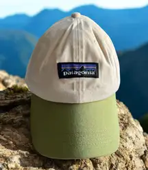 Patagonia Trucker Hat