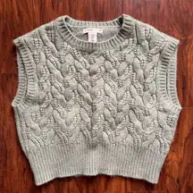 TJ MAXX long cropped sweater vest