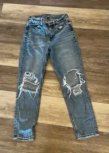 American Eagle Jeans Mom Ripped