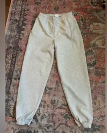 Aritzia TNA sweatpants  joggers