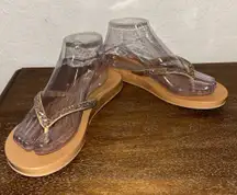 Reef Cushion Stargazer Thong Flip Flop Sandal Shoes Size 8