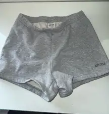 Aritzia Sweat Shorts