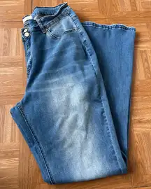 Tea with Lemon Flare Leg Jeans- 16