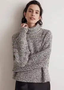 NWT Madewell Wide Rib Turtleneck Sweater Marled Cookies and Cream