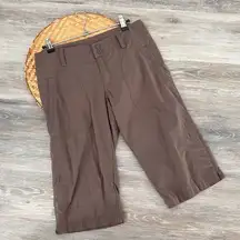 Patagonia brown hiking Capri pants