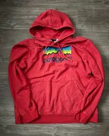 Patagonia Pullover