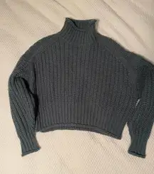 Chunky Turtleneck Sweater