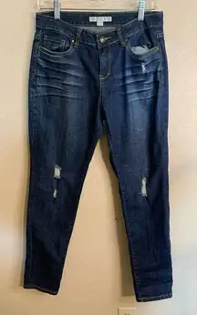 Boston Proper Distressed Jeans Size 8‎