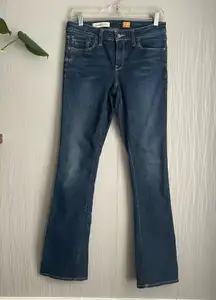 Pilcro & the Letterpress Jeans Size 28