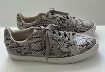 Nordstrom topshop Cuba Gray Snake skin print Pattern lace up Sneakers US 9.5