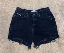 Cut Off Jean Shorts