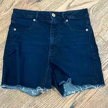 American eagle super stretch‎ shorts size 10