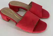 Cole Haan  Sandal Slides Pink Block Heel Suede Women’s 6.5B Damaged