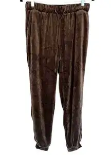 BetterBe Womens Velour Loungewear Pants, Comfy Athleisure Joggers Sweatpants L