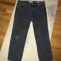 PAC sun Ripped jeans