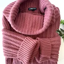 Express Womens Turtleneck Knit Sweater.