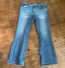 American Eagle distressed straight leg size 12 Jeans