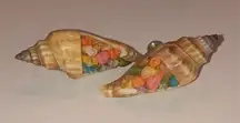 Vintage Conch Shell Tiny Colorful Shells Screw Back Clip On Earrings