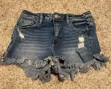 Willow & root size 25 vintage dad jean shorts