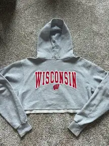 Cropped Wisconsin Hoodie