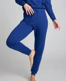 Negative Underwear Club Jogger in Royal, Size Small