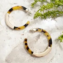 Gold Bar Accent Tortoise Hoop Earrings