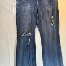 Torrid Blue Straight Leg Jeans Classic Denim