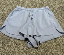 Brandy Melville Blue Shorts