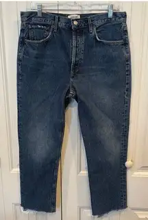Agolde Riley High Rise Straight Crop Jeans Size 30