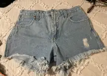Distressed Vintage Shorts