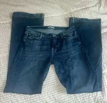 7 For All Mankind Dojo