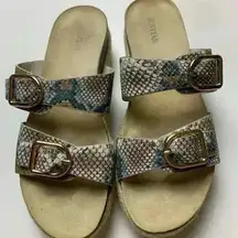 Just Fab Snake Double Strap Platform Espadrille Slides Size 9. Big Buckle