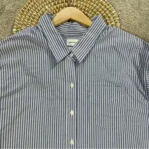 Wilfred Free Relaxed Cotton Button Front Shirt Longsleeve Striped Blue Coastal M