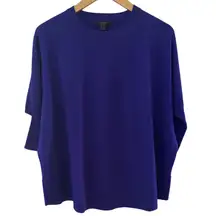 J.‎ Crew Purple Short Sleeve Merino Wool Oversized  Crewneck Sweater Size Small