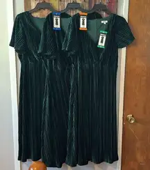 Briggs Ladies Pleated Velvet Dress NWT