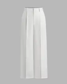 Petite Mid-Rise Pleated Straight Leg Pants Cider