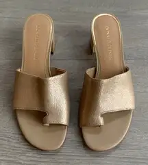 Donald Pliner Melros Gold Slide Leather Block Heel Sandals