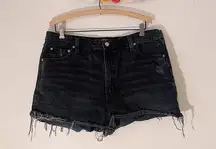 Urban Outfitters BDG Girlfriend High Rise Shorts