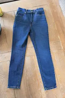 Everlane High Rise Skinny 26 Ankle