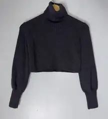aritzia Wilfred Grey Turtleneck‎ Crop Merino Wool Sweater XS