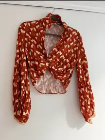 ZARA Blouse Long Sleeve